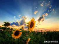 上海千珏电子商务有限公司