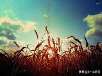 上海千珏电子商务有限公司