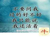 上海千珏电子商务有限公司