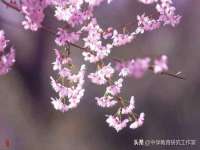 上海千珏电子商务有限公司