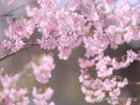 上海千珏电子商务有限公司