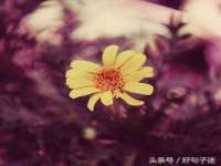 上海千珏电子商务有限公司