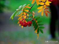 上海千珏电子商务有限公司