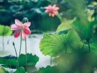 上海千珏电子商务有限公司