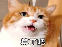 上海千珏电子商务有限公司