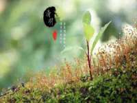 上海千珏电子商务有限公司