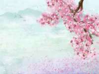 上海千珏电子商务有限公司