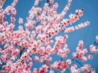 上海千珏电子商务有限公司