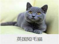 上海千珏电子商务有限公司