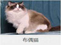 上海千珏电子商务有限公司