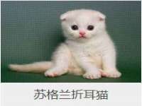 上海千珏电子商务有限公司