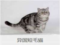 上海千珏电子商务有限公司