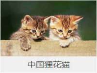 上海千珏电子商务有限公司