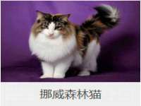 上海千珏电子商务有限公司