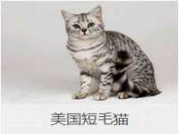 上海千珏电子商务有限公司