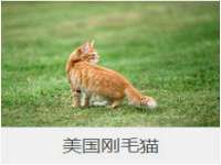上海千珏电子商务有限公司