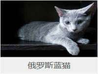 上海千珏电子商务有限公司