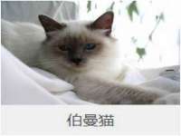 上海千珏电子商务有限公司