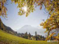 上海千珏电子商务有限公司