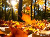 上海千珏电子商务有限公司