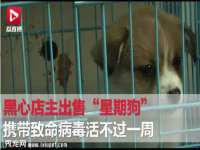 上海千珏电子商务有限公司