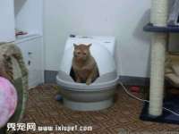 上海千珏电子商务有限公司