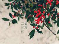 上海千珏电子商务有限公司
