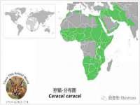 上海千珏电子商务有限公司