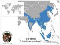 上海千珏电子商务有限公司