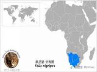 上海千珏电子商务有限公司