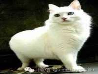 上海千珏电子商务有限公司