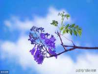上海千珏电子商务有限公司
