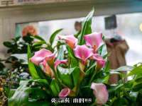 上海千珏电子商务有限公司