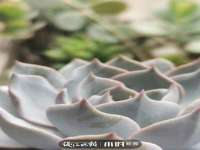 上海千珏电子商务有限公司