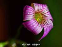 上海千珏电子商务有限公司