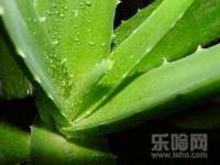 上海千珏电子商务有限公司