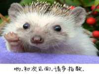 上海千珏电子商务有限公司