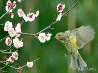 上海千珏电子商务有限公司