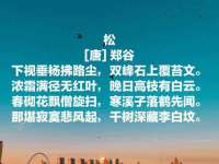 上海千珏电子商务有限公司