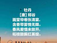 上海千珏电子商务有限公司