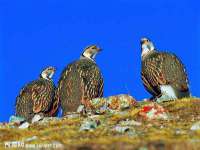上海千珏电子商务有限公司