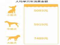 上海千珏电子商务有限公司