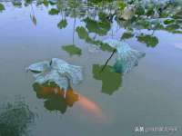 上海千珏电子商务有限公司