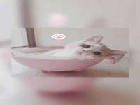 上海千珏电子商务有限公司