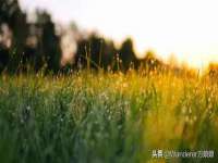 上海千珏电子商务有限公司