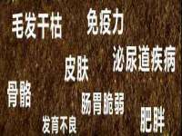 上海千珏电子商务有限公司