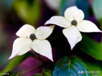 上海千珏电子商务有限公司