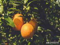 上海千珏电子商务有限公司