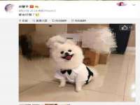 上海千珏电子商务有限公司
