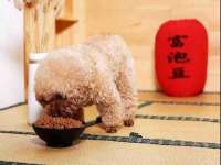 上海千珏电子商务有限公司